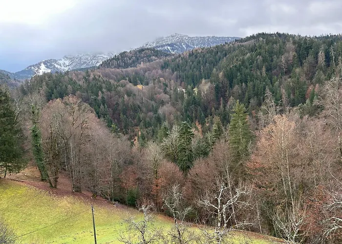 Bergbauernhof Leitenlehen شقة بيرشتسغادن